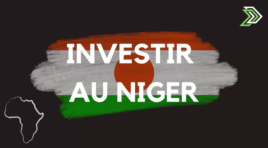 Investir au niger à l'international
